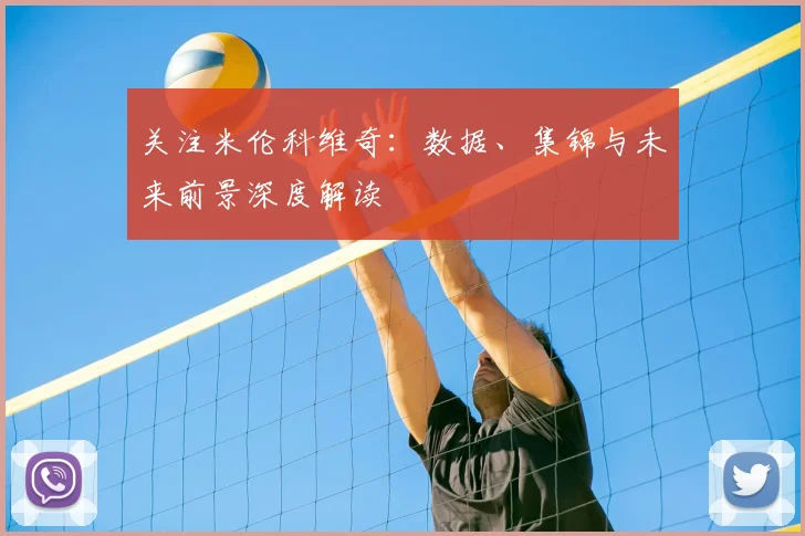 关注米伦科维奇：数据、集锦与未来前景深度解读
