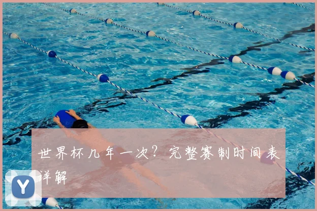 世界杯几年一次？完整赛制时间表详解