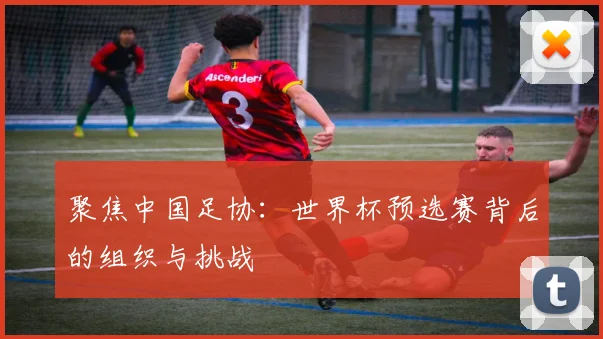 聚焦中国足协:世界杯预选赛背后的组织与挑战