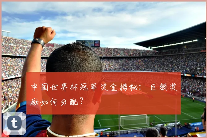 中国世界杯冠军奖金揭秘:巨额奖励如何分配?