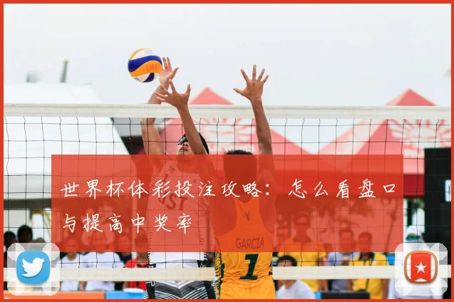 世界杯体彩投注攻略:怎么看盘口与提高中奖率