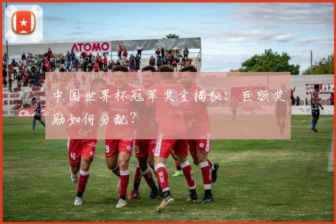 中国世界杯冠军奖金揭秘：巨额奖励如何分配？