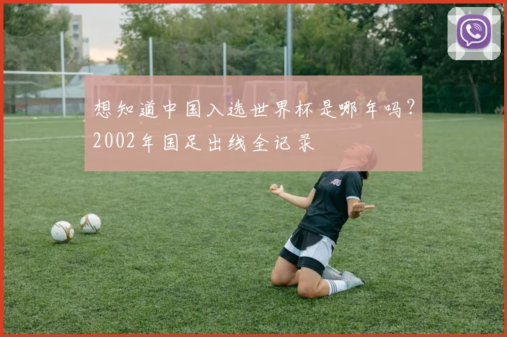 想知道中国入选世界杯是哪年吗?2002年国足出线全记录