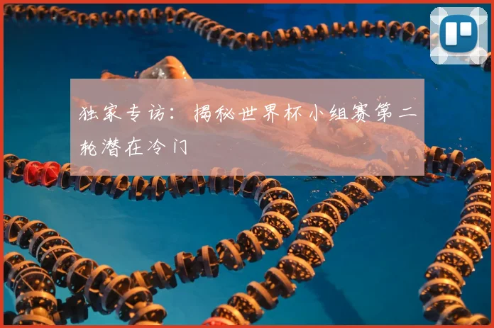 独家专访:揭秘世界杯小组赛第二轮潜在冷门