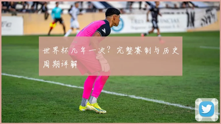 世界杯几年一次？完整赛制与历史周期详解