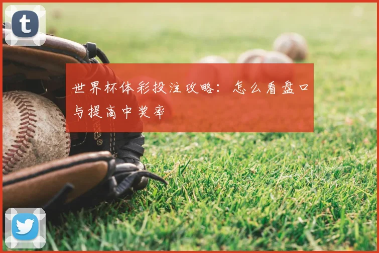 世界杯体彩投注攻略：怎么看盘口与提高中奖率