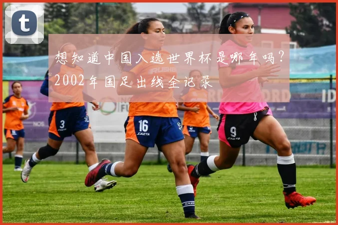 想知道中国入选世界杯是哪年吗？2002年国足出线全记录