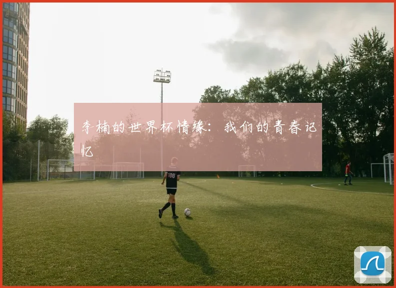 李楠的世界杯情缘：我们的青春记忆