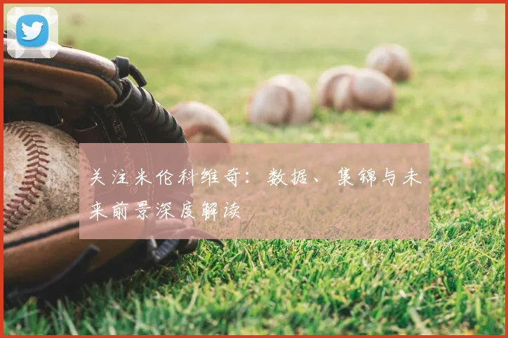 关注米伦科维奇：数据、集锦与未来前景深度解读
