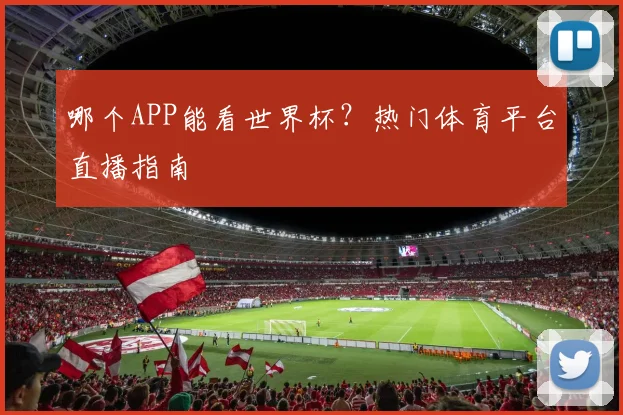 哪个APP能看世界杯？热门体育平台直播指南