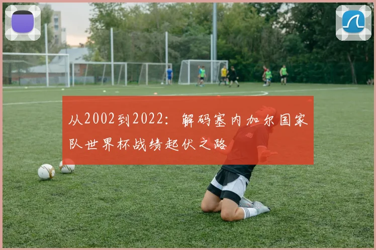 从2002到2022：解码塞内加尔国家队世界杯战绩起伏之路