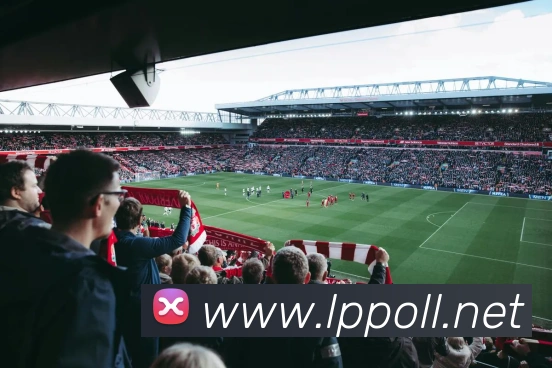 App Interface Preview